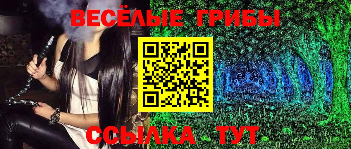 Коркино  купить  сайты  Вход с VPN  Галлюциногенные грибы GOLDEN TEACHER  Галлюциногенные грибы мицелий 